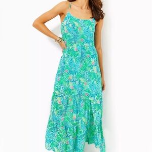 Lilly Pulitzer Teresa Maxi Dress M